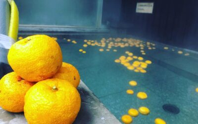 ゆず風呂 ゆ〜ぷるにらさき 韮崎市健康ふれあいセンター