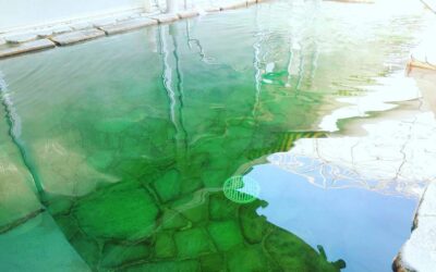 松湯 ゆ〜ぷるにらさき 韮崎市健康ふれあいセンター