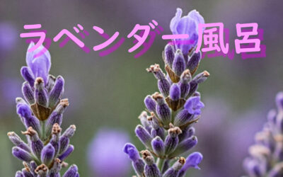 ラベンダー風呂 ゆ〜ぷるにらさき 韮崎市健康ふれあいセンター